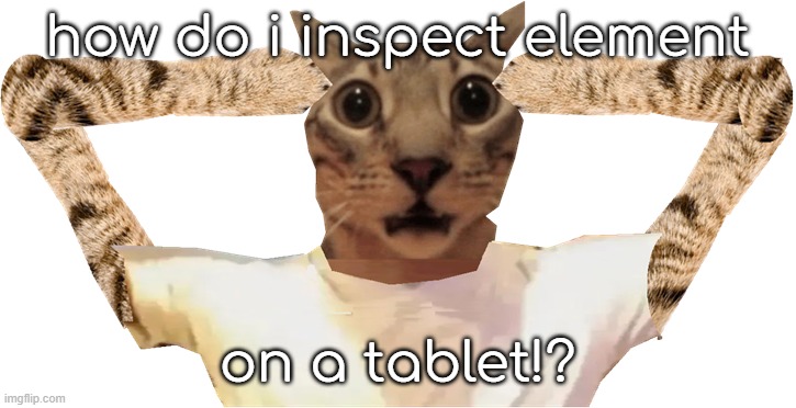 how? | how do i inspect element; on a tablet!? | image tagged in cat shocked | made w/ Imgflip meme maker