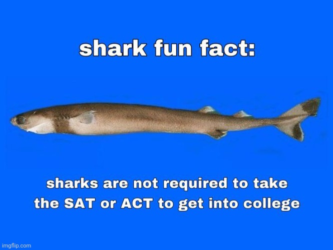 Shark fact number 3 | made w/ Imgflip meme maker