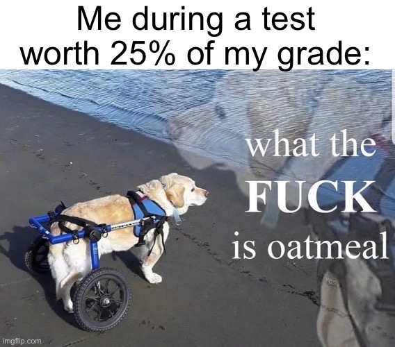 like… what? | Me during a test worth 25% of my grade: | image tagged in what the f k is oatmeal,school,test | made w/ Imgflip meme maker