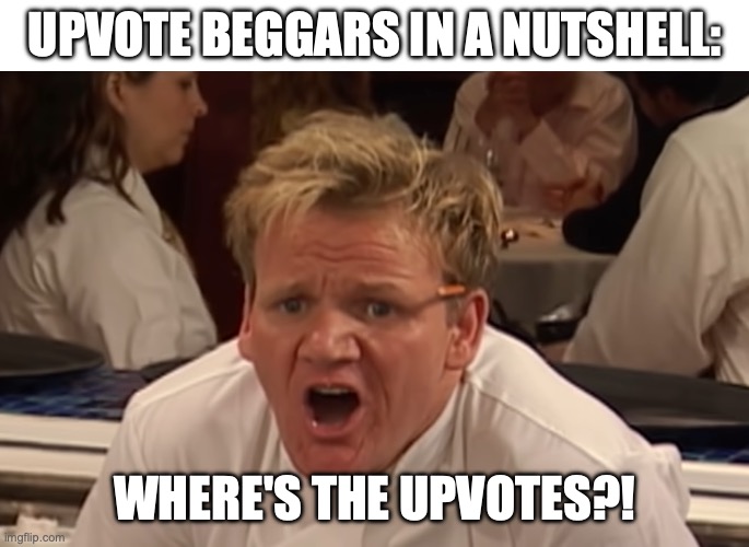 upvote if you agree | UPVOTE BEGGARS IN A NUTSHELL:; WHERE'S THE UPVOTES?! | image tagged in where is the lamb sauce,upvote,upvotes,upvote begging,upvote beggars,begging for upvotes | made w/ Imgflip meme maker