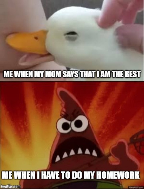 Mood changes | ME WHEN MY MOM SAYS THAT I AM THE BEST; ME WHEN I HAVE TO DO MY HOMEWORK | image tagged in homework,anger | made w/ Imgflip meme maker