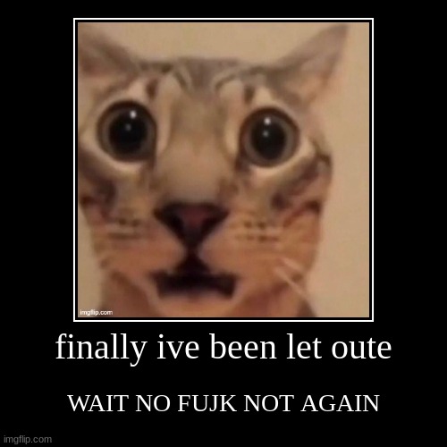 finally ive been let oute | WAIT NO FUJK NOT AGAIN | image tagged in funny,demotivationals | made w/ Imgflip demotivational maker