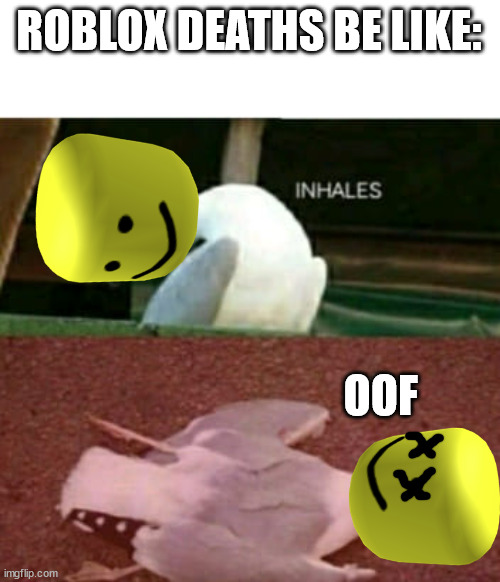 oof | ROBLOX DEATHS BE LIKE:; OOF | image tagged in dead seagull | made w/ Imgflip meme maker