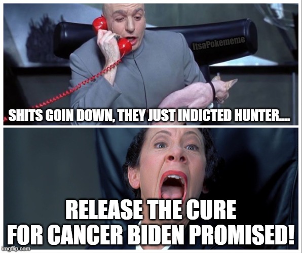 Can-sure | ItsaPokememe; SHITS GOIN DOWN, THEY JUST INDICTED HUNTER.... RELEASE THE CURE FOR CANCER BIDEN PROMISED! | image tagged in dr evil and frau yelling | made w/ Imgflip meme maker