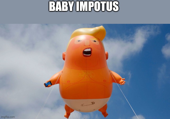 baby IMPOTUS | BABY IMPOTUS | image tagged in baby impotus,mugu | made w/ Imgflip meme maker