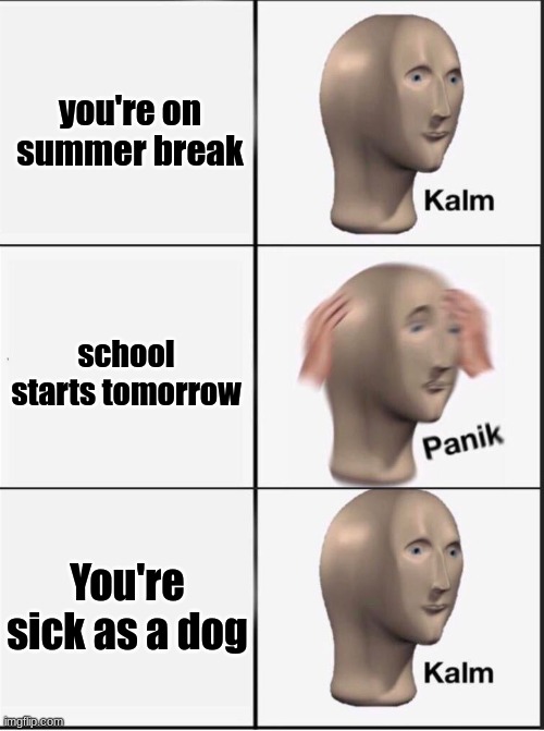 WOOO | you're on summer break; school starts tomorrow; You're sick as a dog | image tagged in reverse kalm panik | made w/ Imgflip meme maker