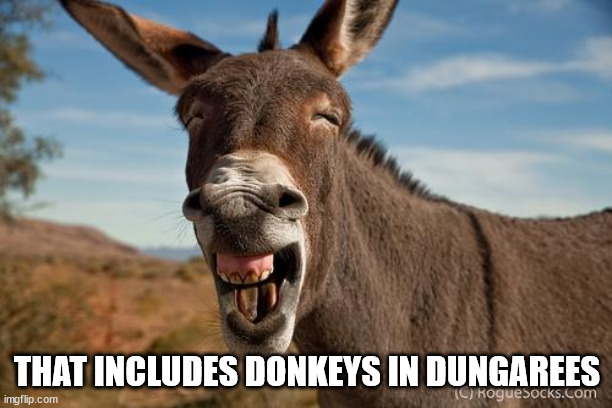 Donkey Jackass Braying | THAT INCLUDES DONKEYS IN DUNGAREES | image tagged in donkey jackass braying | made w/ Imgflip meme maker