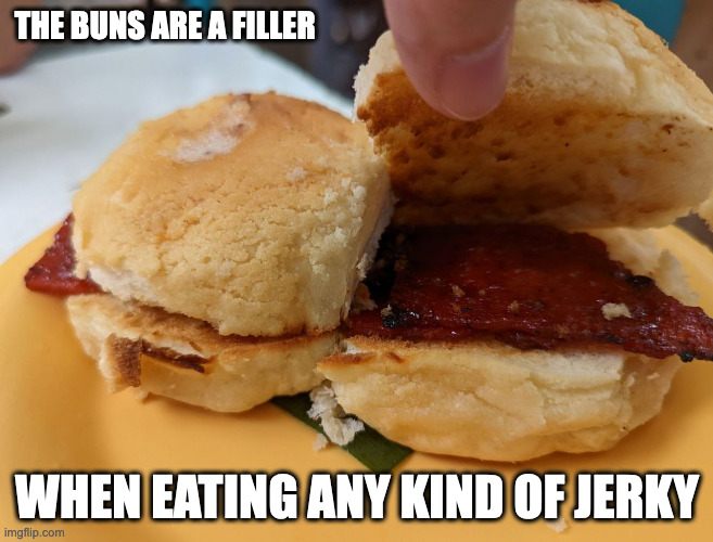 Chicken Jerky Sandwich | THE BUNS ARE A FILLER; WHEN EATING ANY KIND OF JERKY | image tagged in food,memes | made w/ Imgflip meme maker