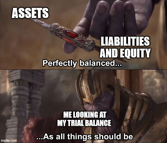 Thanos perfectly balanced as all things should be | ASSETS; LIABILITIES AND EQUITY; ME LOOKING AT MY TRIAL BALANCE | image tagged in thanos perfectly balanced as all things should be | made w/ Imgflip meme maker