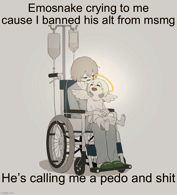 Avogado6 depression | Emosnake crying to me cause I banned his alt from msmg; He’s calling me a pedo and shit | image tagged in avogado6 depression | made w/ Imgflip meme maker