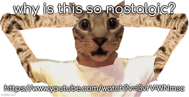 why? | why is this so nostalgic? https://www.youtube.com/watch?v=i3vrV-WNmsc | image tagged in cat shocked | made w/ Imgflip meme maker