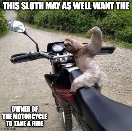 Sloth on Motorcycle | THIS SLOTH MAY AS WELL WANT THE; OWNER OF THE MOTORCYCLE TO TAKE A RIDE | image tagged in sloth,memes | made w/ Imgflip meme maker