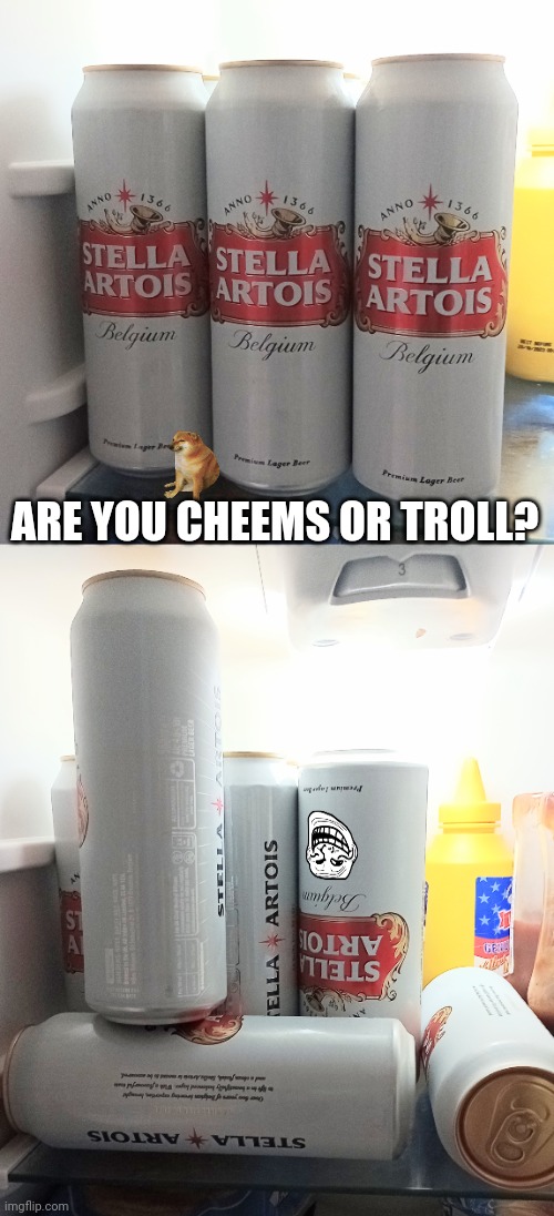 Are you bottom or are you normal? | ARE YOU CHEEMS OR TROLL? | image tagged in beer,ocd,cheems,troll | made w/ Imgflip meme maker