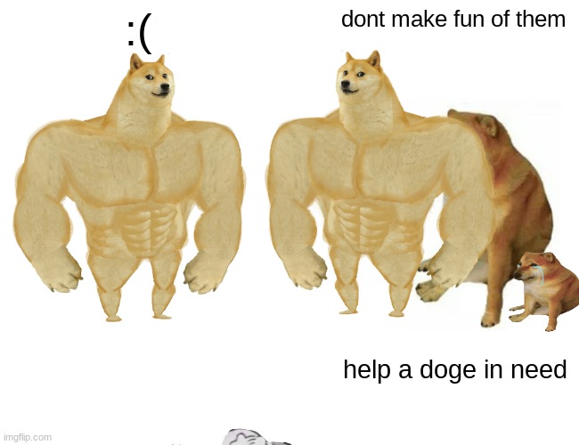 help a doge in need | :(; dont make fun of them; help a doge in need | image tagged in memes,buff doge vs cheems | made w/ Imgflip meme maker