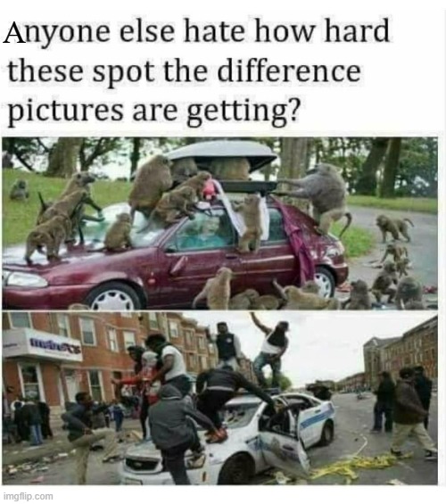 Spot the difference ! | A | image tagged in none,repost | made w/ Imgflip meme maker