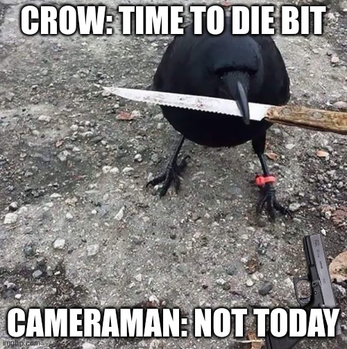 CROW: TIME TO DIE BIT CAMERAMAN: NOT TODAY | made w/ Imgflip meme maker