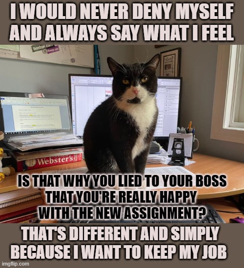 This #lolcat wonders why people often deny themselves | I WOULD NEVER DENY MYSELF
AND ALWAYS SAY WHAT I FEEL; IS THAT WHY YOU LIED TO YOUR BOSS
THAT YOU'RE REALLY HAPPY 
WITH THE NEW ASSIGNMENT? THAT'S DIFFERENT AND SIMPLY BECAUSE I WANT TO KEEP MY JOB | image tagged in denying,lolcat,be yourself,think about it | made w/ Imgflip meme maker