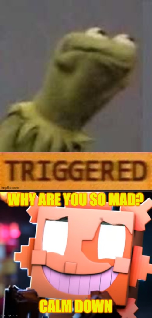 WHY ARE YOU SO MAD? CALM DOWN | image tagged in kermit triggered,oh no sun | made w/ Imgflip meme maker