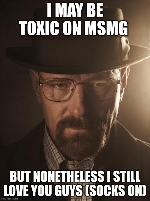 Walter White | I MAY BE TOXIC ON MSMG; BUT NONETHELESS I STILL LOVE YOU GUYS (SOCKS ON) | image tagged in walter white | made w/ Imgflip meme maker