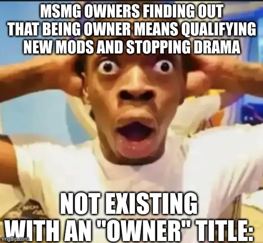 Surprised Black Guy | MSMG OWNERS FINDING OUT THAT BEING OWNER MEANS QUALIFYING NEW MODS AND STOPPING DRAMA; NOT EXISTING WITH AN "OWNER" TITLE: | image tagged in surprised black guy | made w/ Imgflip meme maker