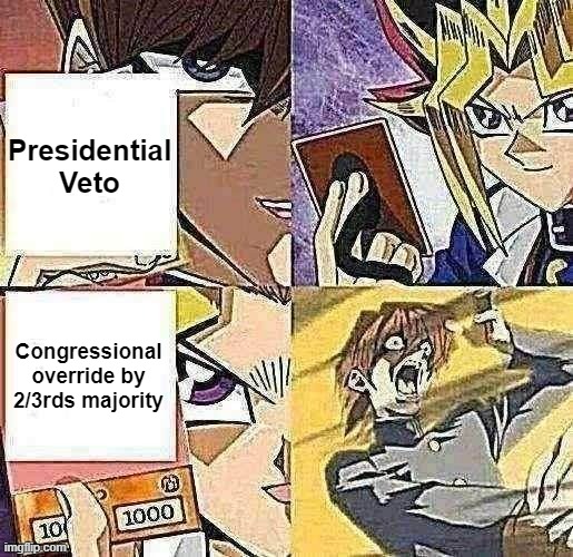 kaiba's defeat | Presidential Veto; Congressional override by 2/3rds majority | image tagged in kaiba's defeat | made w/ Imgflip meme maker