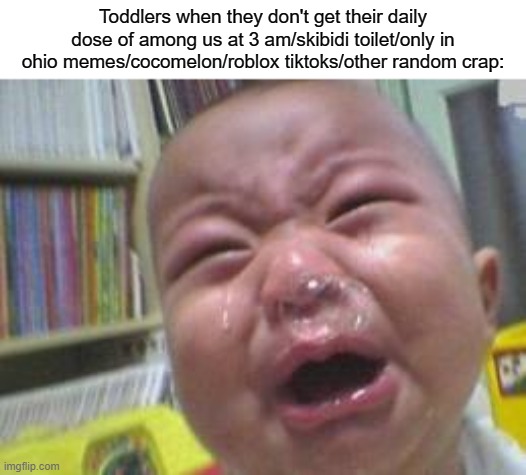 2023, smh | Toddlers when they don't get their daily dose of among us at 3 am/skibidi toilet/only in ohio memes/cocomelon/roblox tiktoks/other random crap: | image tagged in memes,funny,so true,dies of cringe,why are you reading the tags | made w/ Imgflip meme maker