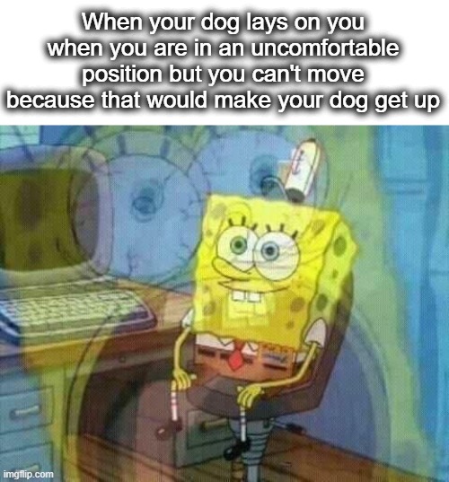 dog before comfort o7 | When your dog lays on you when you are in an uncomfortable position but you can't move because that would make your dog get up | image tagged in spongebob panic inside,spongebob,panic,dog,oh no,uncomfortable | made w/ Imgflip meme maker