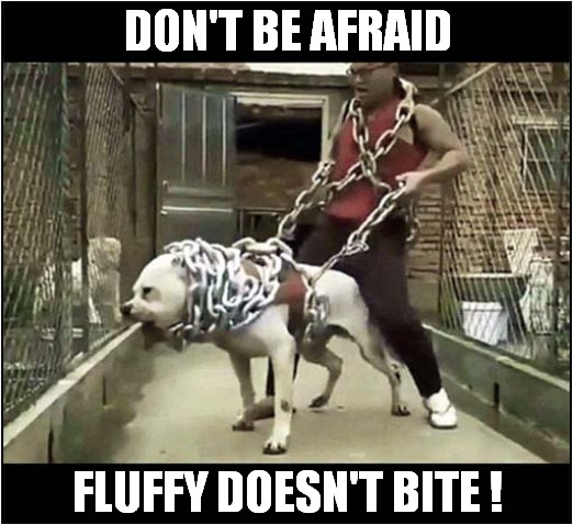 I'm Not Sure About The Size Of That Chain ! | DON'T BE AFRAID; FLUFFY DOESN'T BITE ! | image tagged in dogs,don't be afraid,biting | made w/ Imgflip meme maker