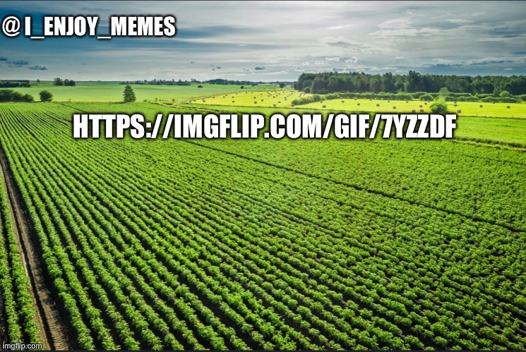 I_enjoy_memes_template | HTTPS://IMGFLIP.COM/GIF/7YZZDF | image tagged in i_enjoy_memes_template | made w/ Imgflip meme maker