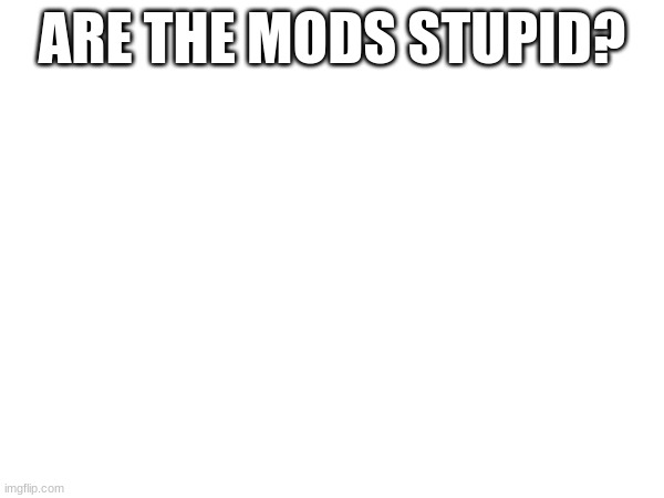 Just wondering. | ARE THE MODS STUPID? | made w/ Imgflip meme maker