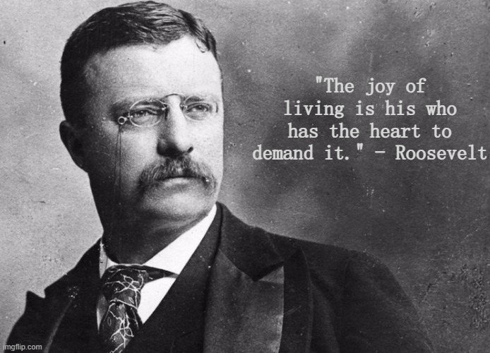 Theodore Roosevelt | "The joy of living is his who has the heart to demand it." - Roosevelt | image tagged in theodore roosevelt | made w/ Imgflip meme maker