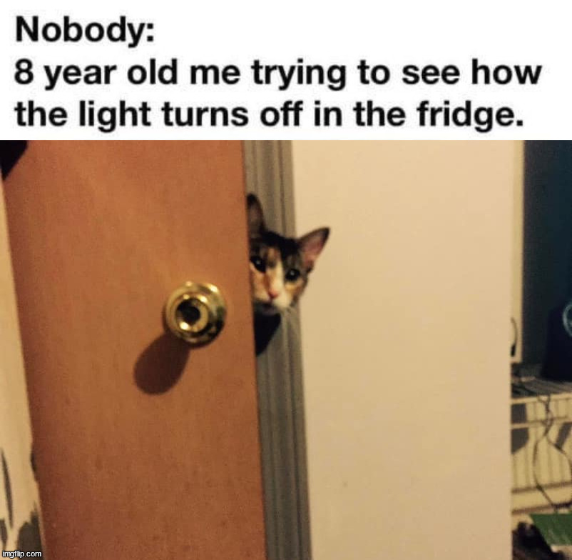 image tagged in cat peeking around door | made w/ Imgflip meme maker