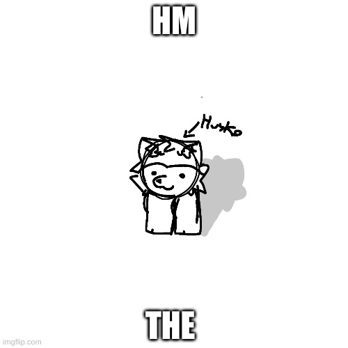 is the husko, weird character i've had | HM; THE | image tagged in husko,oc | made w/ Imgflip meme maker