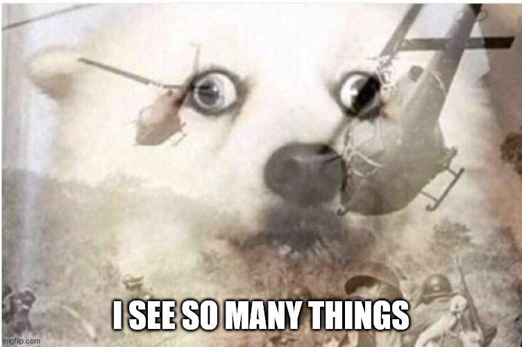 vietnam dog | I SEE SO MANY THINGS | image tagged in vietnam dog | made w/ Imgflip meme maker