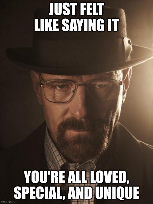 Walter White | JUST FELT LIKE SAYING IT; YOU'RE ALL LOVED, SPECIAL, AND UNIQUE | image tagged in walter white | made w/ Imgflip meme maker