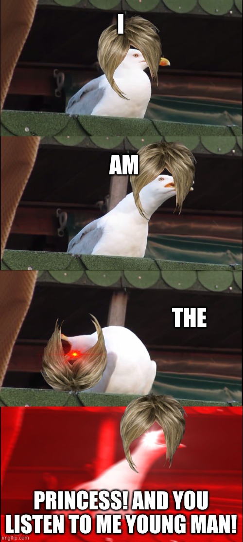 Karen Seagull | I; AM; THE; PRINCESS! AND YOU LISTEN TO ME YOUNG MAN! | image tagged in memes,inhaling seagull | made w/ Imgflip meme maker