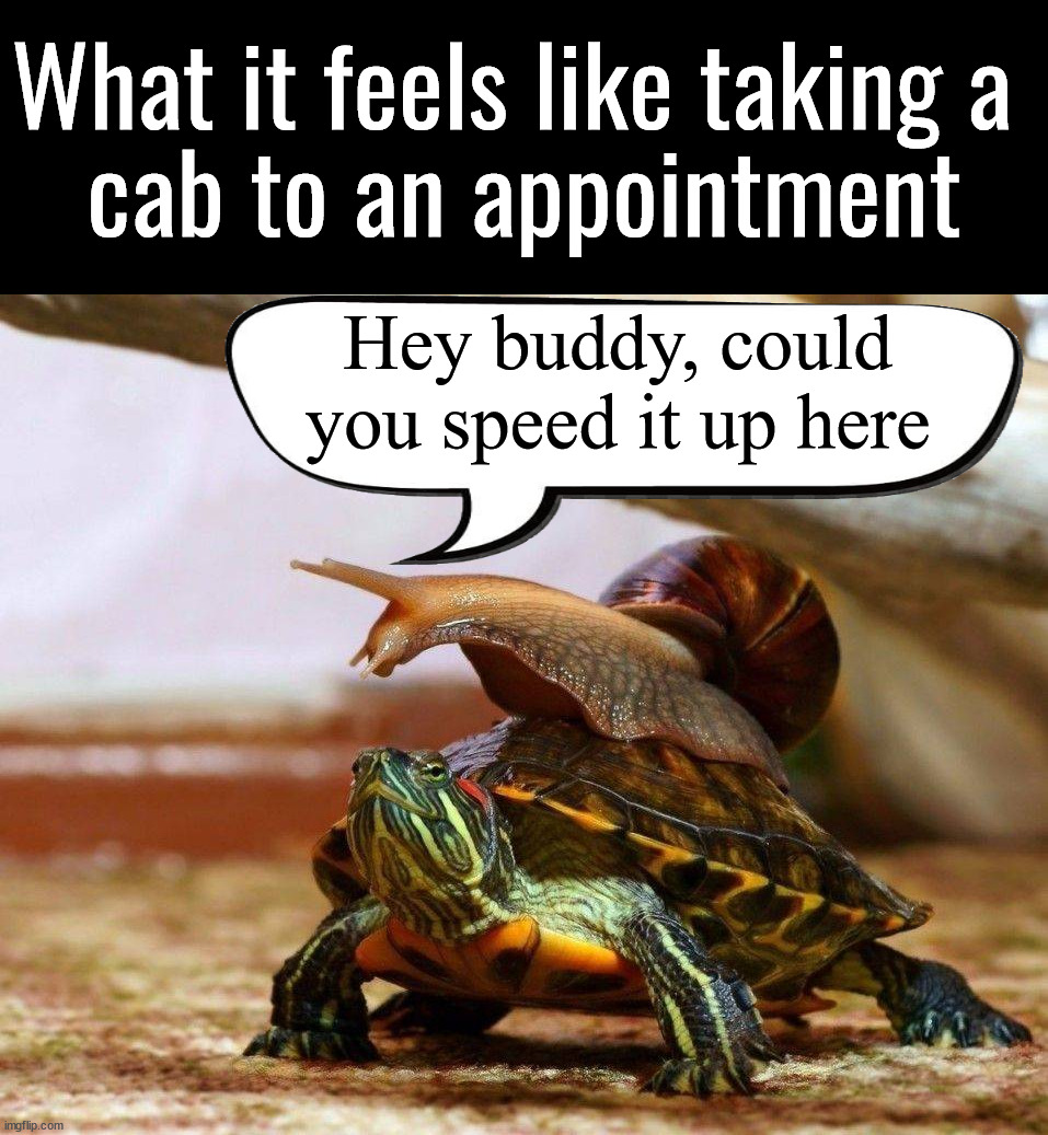 When you have to be there in 5 minutes | What it feels like taking a 
cab to an appointment; Hey buddy, could you speed it up here | image tagged in ride,taxi,slow ride,appointment,speed up | made w/ Imgflip meme maker