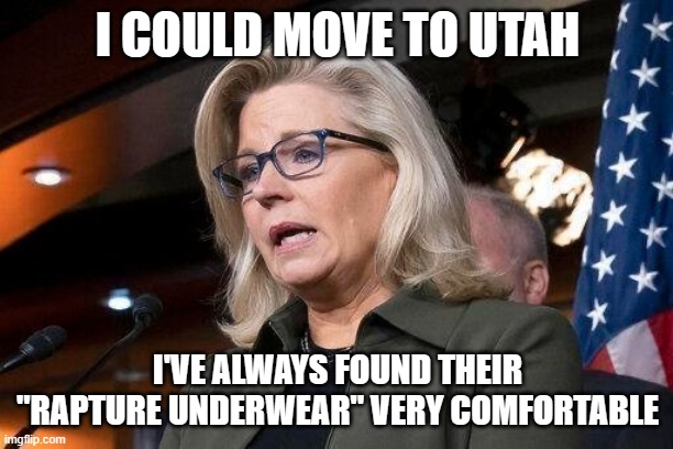 Liz Cheney | I COULD MOVE TO UTAH I'VE ALWAYS FOUND THEIR "RAPTURE UNDERWEAR" VERY COMFORTABLE | image tagged in liz cheney | made w/ Imgflip meme maker