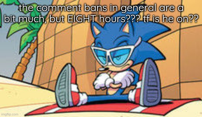angry sonic | the comment bans in general are a bit much, but EIGHT hours??? tf is he on?? | image tagged in angry sonic | made w/ Imgflip meme maker