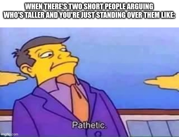 They're too short. | WHEN THERE'S TWO SHORT PEOPLE ARGUING WHO'S TALLER AND YOU'RE JUST STANDING OVER THEM LIKE: | image tagged in skinner pathetic,short people,tower | made w/ Imgflip meme maker