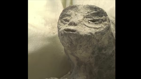 Watch: 'Aliens' found in Mexico; mysterious corpses cause stir a Blank Meme Template