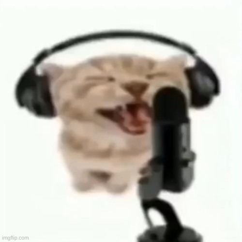 IN THIS WOOOORLD | image tagged in cat meow rap | made w/ Imgflip meme maker