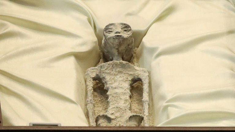 High Quality 1,000-year-old 'alien corpses' displayed in glass cases in Mexic Blank Meme Template