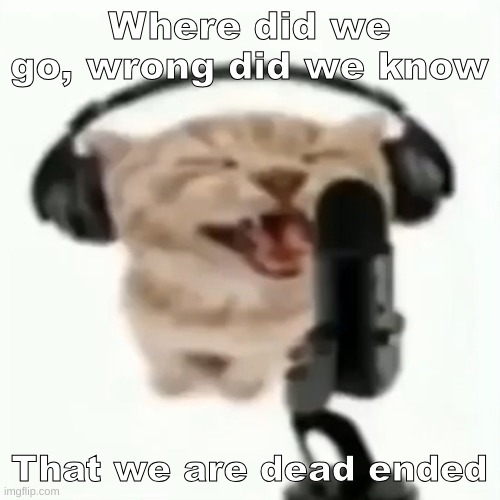 Ending dead | Where did we go, wrong did we know That we are dead ended | image tagged in cat meow rap | made w/ Imgflip meme maker