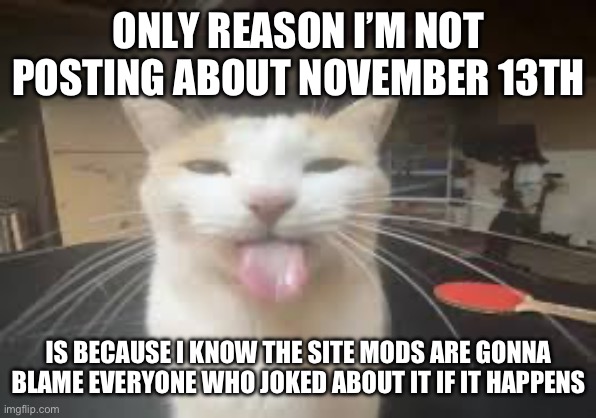 Cat | ONLY REASON I’M NOT POSTING ABOUT NOVEMBER 13TH; IS BECAUSE I KNOW THE SITE MODS ARE GONNA BLAME EVERYONE WHO JOKED ABOUT IT IF IT HAPPENS | image tagged in cat | made w/ Imgflip meme maker