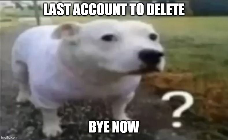 ? | LAST ACCOUNT TO DELETE; BYE NOW | made w/ Imgflip meme maker