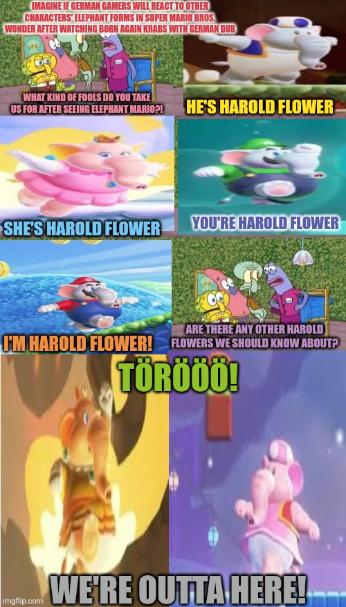 He's Squidward Your Squidward I'm Squidward meme | IMAGINE IF GERMAN GAMERS WILL REACT TO OTHER CHARACTERS' ELEPHANT FORMS IN SUPER MARIO BROS. WONDER AFTER WATCHING BORN AGAIN KRABS WITH GERMAN DUB; HE'S HAROLD FLOWER; WHAT KIND OF FOOLS DO YOU TAKE US FOR AFTER SEEING ELEPHANT MARIO?! YOU'RE HAROLD FLOWER; SHE'S HAROLD FLOWER; ARE THERE ANY OTHER HAROLD FLOWERS WE SHOULD KNOW ABOUT? I'M HAROLD FLOWER! TÖRÖÖÖ! WE'RE OUTTA HERE! | image tagged in he's squidward your squidward i'm squidward meme,elephant,super mario bros | made w/ Imgflip meme maker