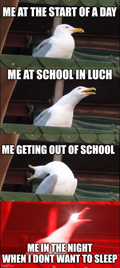 this is me | ME AT THE START OF A DAY; ME AT SCHOOL IN LUCH; ME GETING OUT OF SCHOOL; ME IN THE NIGHT WHEN I DONT WANT TO SLEEP | image tagged in memes,inhaling seagull | made w/ Imgflip meme maker
