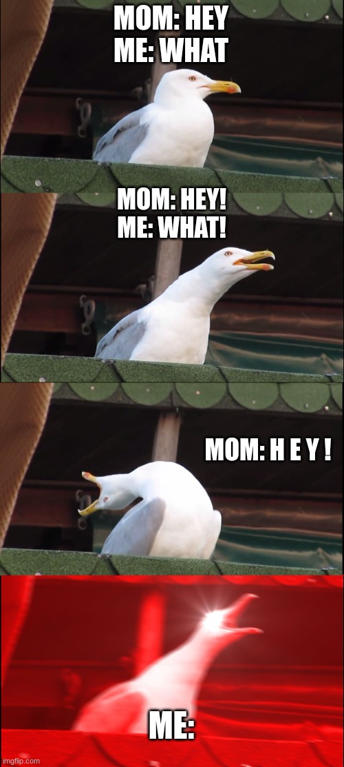 Relatable | MOM: HEY
ME: WHAT; MOM: HEY!
ME: WHAT! MOM: H E Y ! ME: | image tagged in memes,inhaling seagull,mom,moms,screaming bird,relatable | made w/ Imgflip meme maker