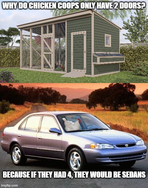 WHY DO CHICKEN COOPS ONLY HAVE 2 DOORS? BECAUSE IF THEY HAD 4, THEY WOULD BE SEDANS | image tagged in used 1998 toyota corolla le sedan 4d prices kelley blue book | made w/ Imgflip meme maker